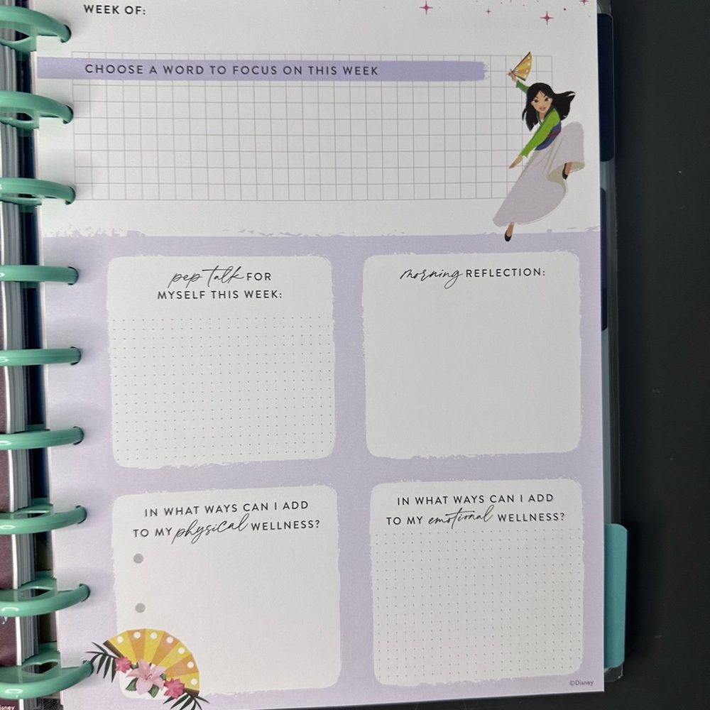 Disney Princess Planner - Picture 3 of 8